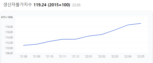 한국은행이 발표한 ‘2022년 5월 생산자물가지수’에 따르면 지난달 생산자물가지수는 119.24로 통계 작성 이후 최고치를 기록했다. /네이버