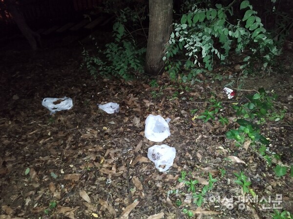 매봉산 산책로에 공사를 위해 마련해 둔 자재 더미 근처에 쓰레기가 놓여 있다. /김현우 기자