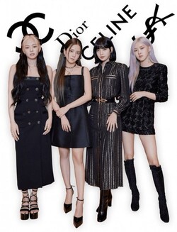 멤버 전원이 유수의 명품 브랜드 뮤즈이자 엠버서더로 활동하는 것은 전례없는 일이다. /사진=나무위키