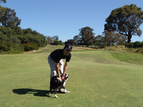킹스턴 히스에서 만난 보더콜리 /오상준