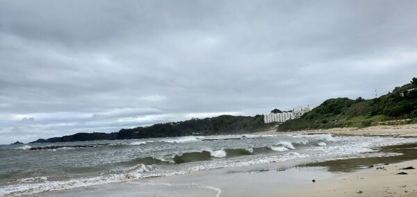 뒷마당이 바로 바닷가여서 좋았던 호텔 /사진=양은심