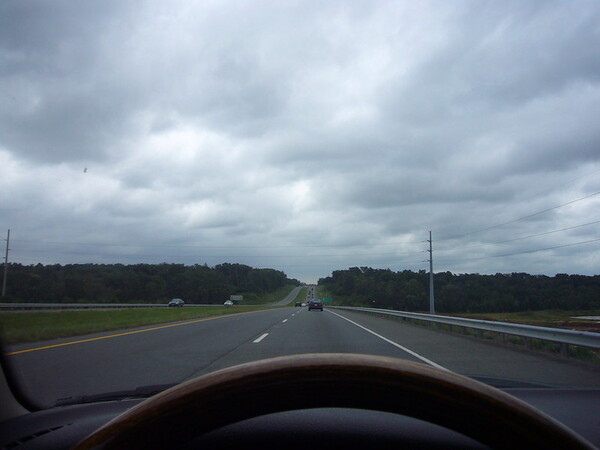 동막골로 가는 길은 새로운 코스모스를 찾아가는 여름여행길 /사진=플리커