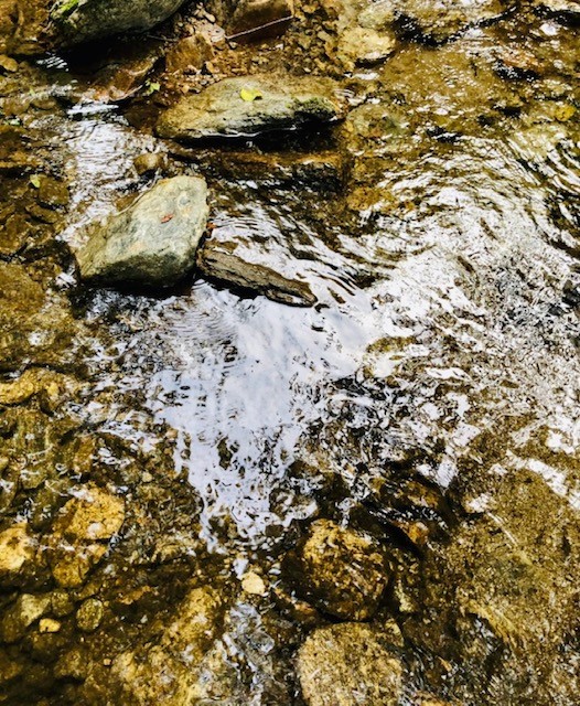 여름 계곡은 천지가인(天地歌人: 자연을 노래하는 가객)의 경지로 나를 데려다주었죠. / 사진=최익준