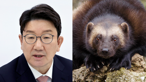 권성동 원내대표는 울버린 상이다. 울버린은 족제빗과 동물로 일당백의 전투력과 저돌성을 지녔다. /사진=연합뉴스, 픽사베이
