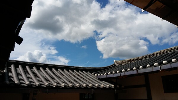 아픔도 고통도 작아지는 '시간'이라는 선물···. 언제 비가 왔냐는 듯 얼굴을 내민 햇살이 눈부시다. /송미옥