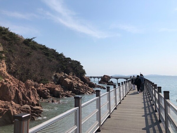  그렇게 3년 동안 1000만보 산책길은 산티아고에 갈 만큼의 허벅지와 튼튼한 심장, 그리고 멀리 우주와 지구 반대편으로 떠날 상상력의 근육을 단련할 조련사가 되어 주었다. /사진=최익준