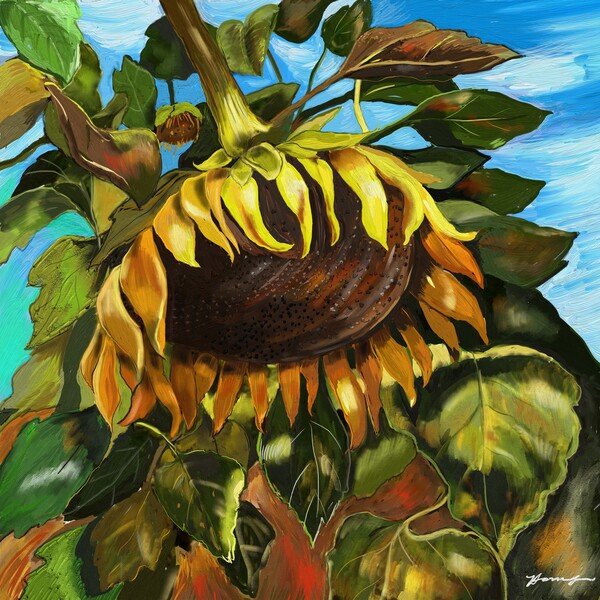 '자가격리', 갤럭시노트20울트라 /그림=홍미옥