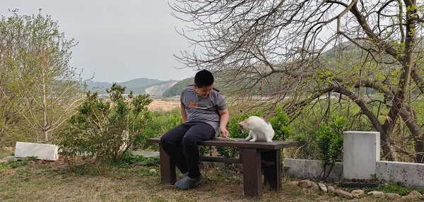 우리집을 맴도는 길냥이, 사람보다 더 사랑받는다. /사진=송미옥