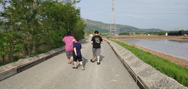 운동을 시켰더니 억지로 걷기에 동참하는 내 손주들이다. /사진=송미옥