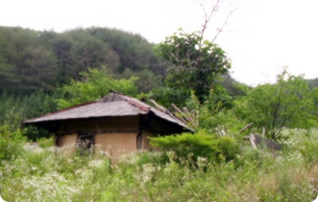 산속에 방치된 외딴집 /사진=송미옥