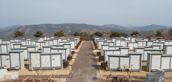 남편은 군위에 있는 산꼭대기 아파트에서 우리를 지켜보고있다. 군위 천주교 묘원 /사진=송미옥