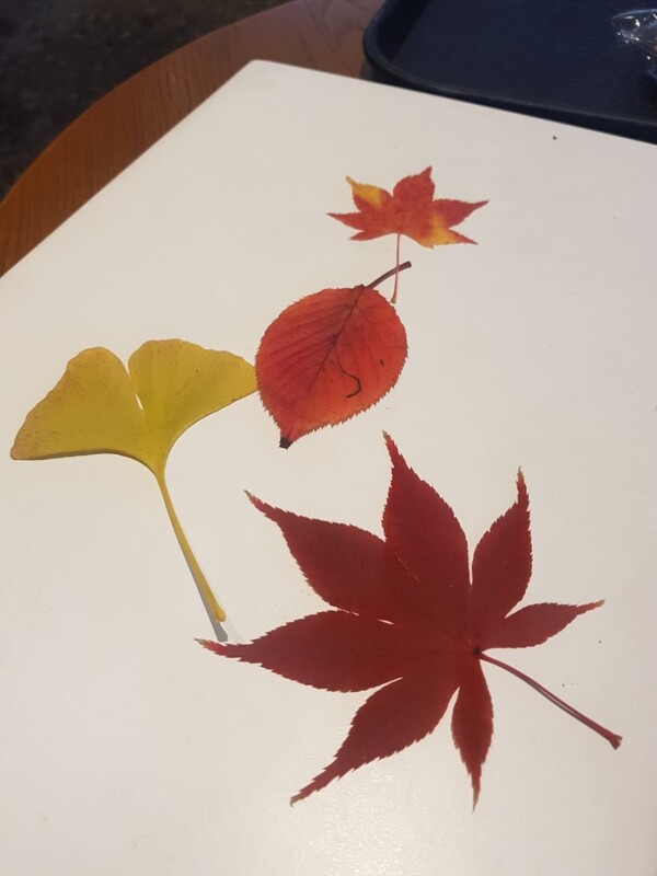 산책 길에 데려온 가을 /사진=홍미옥