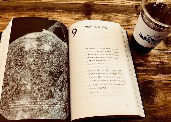 칼 에드워드 세이건의 저서 『코스모스』 중에서도 가장 좋아하는 것은 제9장-[별들의 삶과 죽음]입니다. 이 제목 한 줄만으로도 내 가슴속 별이 살아 있음을 느끼게 해 주기 때문입니다. 내 희로애락의 삶이 저 밤하늘 먼 우주 속 별의 궤도와 다르지 않음을 시사해 주기 때문입니다. /사진=최익준