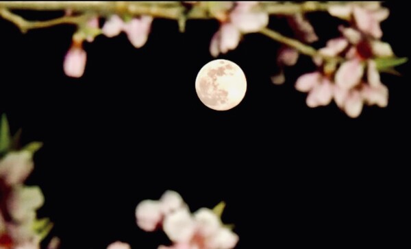 "나는 죽는 순간 다시 부활하여 살아갈 수 있는 존재가 될 것이라 믿고 싶었다. 그러나 그러한 소망이 강렬한 만큼 헛된 바람임을 잘 알고 있다. 그럼에도 불구하고 이 세계는 더할 나위 없이 아름답고, 크고 깊은 사랑과 선으로 가득한 곳이므로 굳이 사후 세계의 이야기로 나를 속일 필요가 없다. 그보다는 약자의 편에서 죽음의 눈을 똑바로 쳐다보고, 생이 제공하는 짧지만 강렬한 여정에 매일 감사하는 편이 훨씬 낫다고 생각한다." /사진=최익준