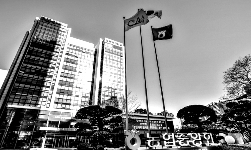 농협중앙회 임직원의 고객 정보 무단 조회와 유출이 끊이지 않고 있다. 최근 5년간 조합원에 대한 수천 건의 정보 유출이 발각됐다. /연합뉴스