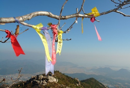 산에 오르면 늘상 볼 수 있는 각종 리본들. 환경오염과 불쾌감까지 주는 리본 달기는 전형적인 자기과시와 경쟁심리의 표현에 지나지 않는다. /사진=한익종