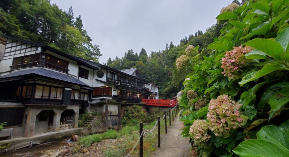 강 양쪽을 잇는 작은 다리들이 소소한 분위기를 만든다. /사진=양은심