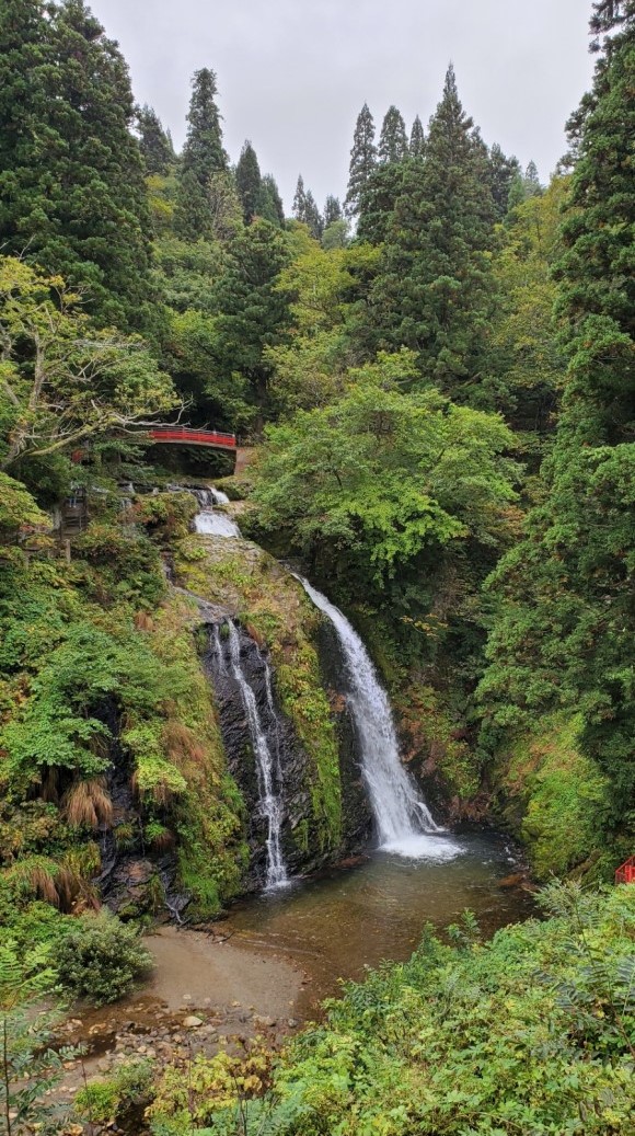 높이 22 미터의 시로가네토 타키 /사진=양은심