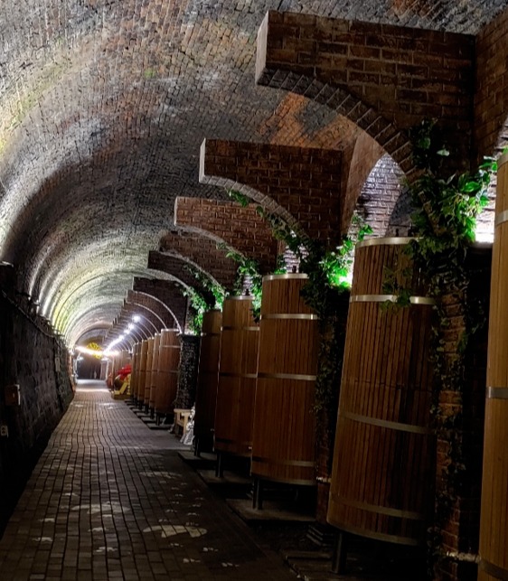 술이란 삶의 희로애락에 음양으로 적절한 하모니를 넣고 아프고 힘들 때 위로의 명약으로 탄생되는 것이다. 청도와인터널에서 /사진=송미옥