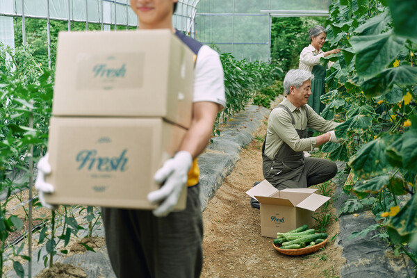 농산물 유통 구조 상 제일 단순한 생산자와 소비자의 직거래는 누구나 선호하고 장려하지만 택배와 같이 직접 배달 시스템이 필요하다. 소비자에게 직접 판매를 하려면 소분하고 포장을 해야 하므로 모든 농가가 가능한 것은 아니다. /게티이미지뱅크