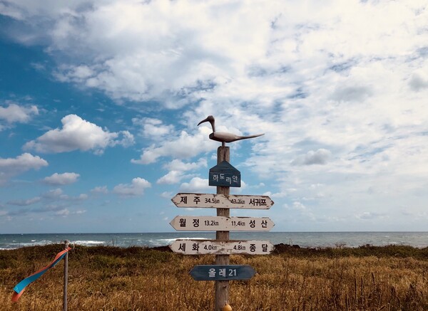 스물세 살 일기장 속 추억의 청년과 나는 헤어지기 싫어서 제주 올레길 27코스 완주를 목표로 함께 걸으며 수십 년간 멈춘 일기장의 이야기를 이어 가기로 했지요. /사진=최익준