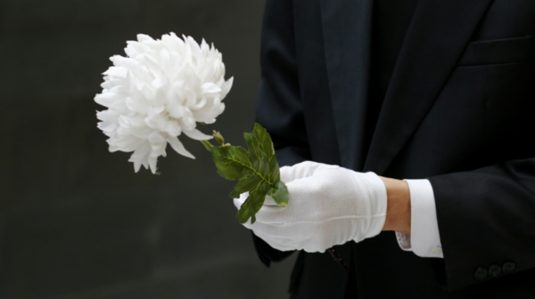 국화꽃 /연합뉴스