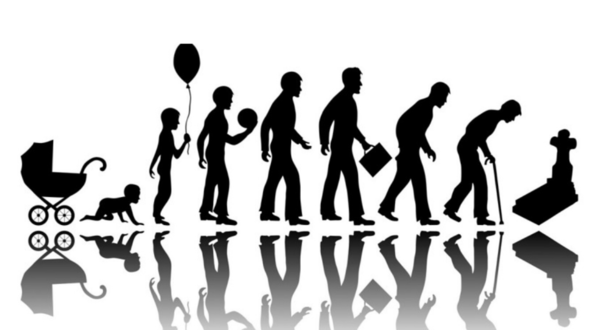 유아에서 사망에 이르기까지 인간의 전생애. 죽음으로 가는 길 /픽사베이