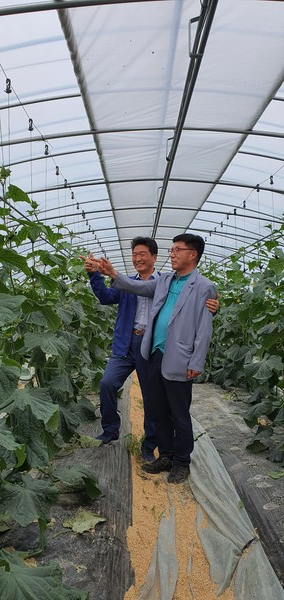 주변에 사는 옛 친구가 찾아와 호박 농사를 짓는 비닐하우스를 살펴보고 있다. /사진=정진권