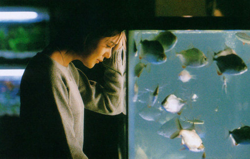 1999년 2월 개봉한 영화 ‘쉬리’는 한국영화 제작시스템의 중요한 분수령이 된 작품으로 평가받고 있다. 사진은 영화의 한 장면. / 강제규필름