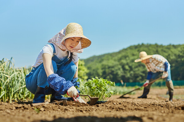 주말 체험 영농자는 농지 규모는 1000㎡ 이하여야 하고 의무 영농 일수는 연간 30일 이상으로 규정되어 있다. 의무 영농 일수를 채우지 못하면 농업을 하지 않는 사람으로 간주되며 농지법 위반 대상이 되어 강제처분명령이 내려진다. 강제처분명령이란 1년 이내에 농지를 매각하라는 명령이다. /게티이미지뱅크