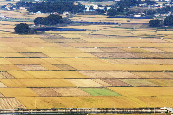 경자유전(耕者有田)이란 말을 들었을 것이다. 농업인만이 농지를 소유할 수 있다는 말이다. 이는 헌법 제121조 ‘국가는 농지에 관하여 경자유전의 원칙이 달성될 수 있도록 노력하여야 하며, 농지의 소작제도는 금지된다’라고 못박혀 있다. /게티이미지뱅크