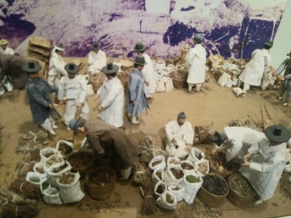 요즘도 이곳엔 장날이 있어서 장날이면 발 디딜 틈 없이 복잡하다. 옛날엔 물물교환을 위해 새벽부터 이고지고 나온 물건을 펼칠 자리를 잡기 위해 투덕거리고 북적거렸다고 한다. /사진=송미옥, 민속박물관에서 촬영