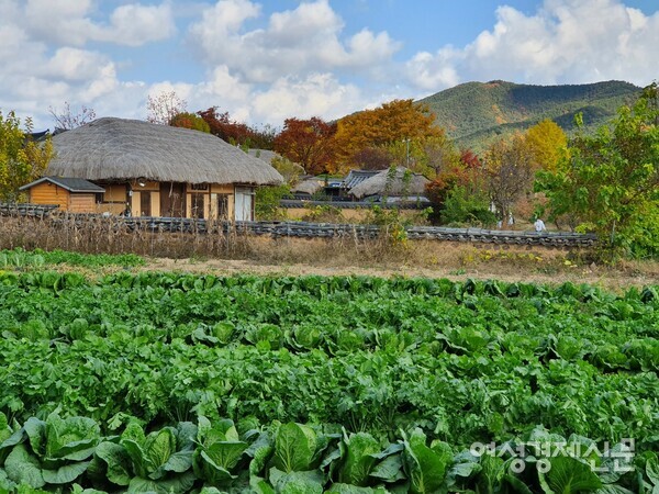 새로 신축하지 않고 농어촌 주택을 구입하는 경우도 있다. 그때는 토지 대장과 건축물 대장, 토지 등기부, 건물 등기부를 꼼꼼히 살펴야 한다. 그리고 지상권 여부도 확인해야 한다. 안동하회마을 /사진=백영건 기자
