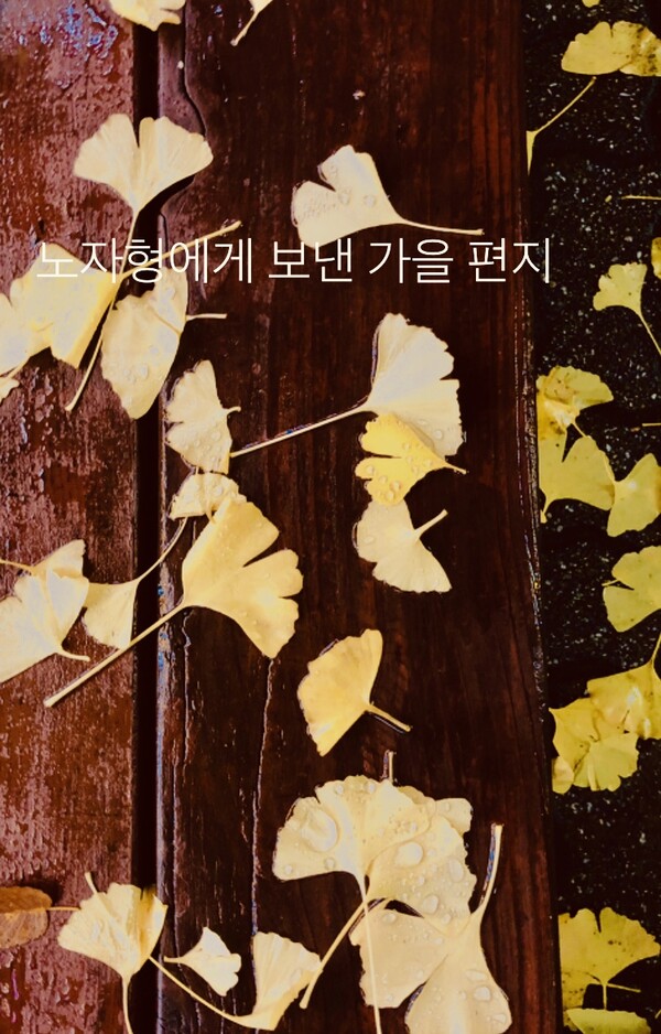 아~ 노자형! 당신이 말하는 세상의 윈리, 즉 도(道)는 채움과 비움의 영원한 순환이며, 물러나야 할 때 다음의 세대에게 물려줌을 미리 아는 것이 바로 도덕경의 순리이며, 그 순리대로 비우고 내려가 주는 행동이 도덕경의 경(經)이라고 당신은 저에게 일갈해 주셨습니다. /사진=최익준