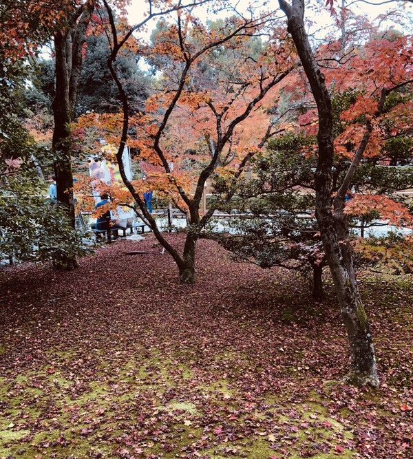 인간의 실존이 낙엽과 다른 점이라면, 욕망의 주머니를 풀어서 이웃과 나눠야 행복한 존재이며 신의 소리에 귀 기울여 내 것을 베풀 줄 아는 생명체이기 때문 아닐까요? /사진=최익준