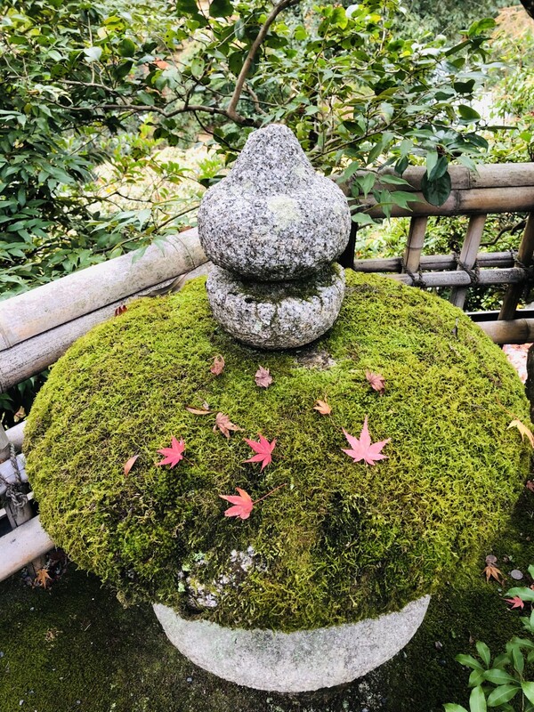 "태어나려고 하는 자는 하나의 세계를 파괴하지 않으면 안 된다. 그 새는 신을 향해 날아간다. 그 신의 이름은 '아프락사스'라고 한다." /사진=최익준  