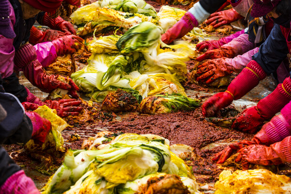 김장은 가족이다. 고사리손 손주들까지 둘러앉아 즐거운 행사가 되었다는 사돈네. 함께 어우러져 담아야 더 맛있다. /게티이미지뱅크