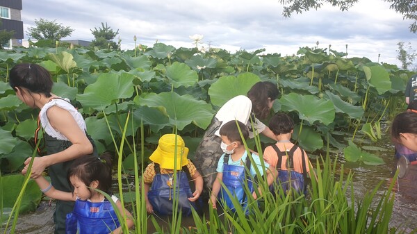이천 비틀즈자연학교에서 체험객들이 연못에 들어가 수서 생물을 관찰하고 있다