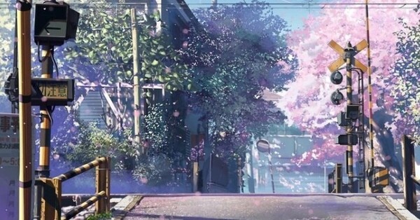 '너의 이름은'의 배경인 벚꽃(사진 2) /최정근 