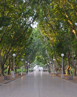 시드니 하이드파크 /게티이미지뱅크