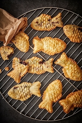 차별 없이 비추는 저 태양의 빛으로 타인과 타인을 연결하는 우리는 지구촌 우아한 붕어빵 형제들 아닐까요? /게티이미지뱅크