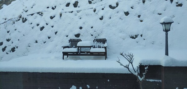 전날부터 내린 눈이 소복이 쌓여 발이 묶였다. /사진=송미옥