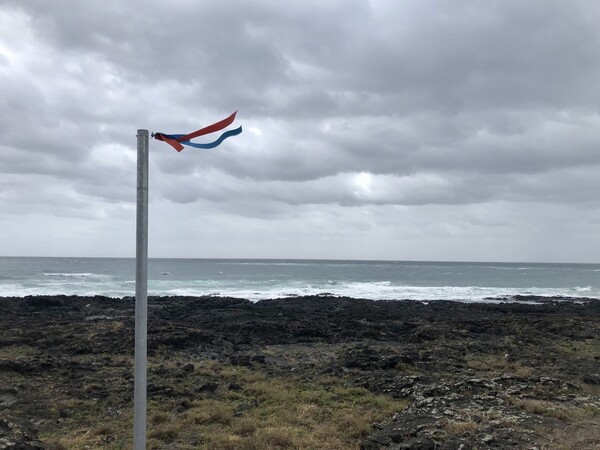 청춘이란 젊은 나이를 말하는 것이 아니라 새 길을 찾아내는 도전자만이 가질 수 있는 완주증(Finisher Certificate) 같은 것이라며. 제주의 오렌지빛 귤과 푸른 바다를 상징하는 두 개의 깃발이 한 몸으로 펄럭이며 저에게 소리쳐 응원해 주었지요. /사진=최익준