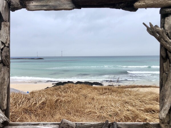 바다보다 깊고 푸르고 감귤보다 짙은 청춘으로 재탄생한 437km 완주를 마치고, 올레는 인생 2막 새로운 내 고향으로 자연스럽게 체득했지요. /사진=최익준