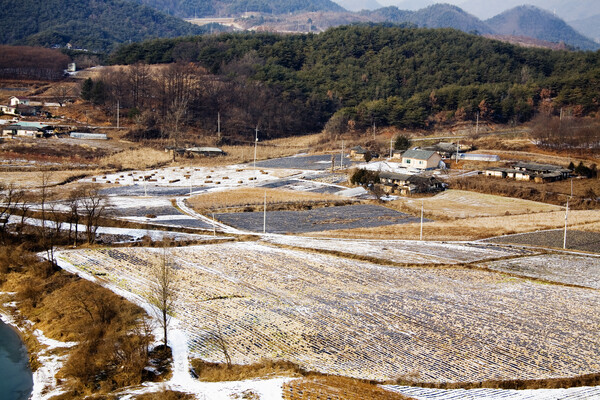어릴 적 130가구 600여 명이 살던 고향 마을은 장성해 돌아와 보니 전체 인구가 40명이 채 안 된다. 사진은 전형적인 농촌의 겨울 풍경으로 글의 내용과 무관하다. /게티이미지뱅크