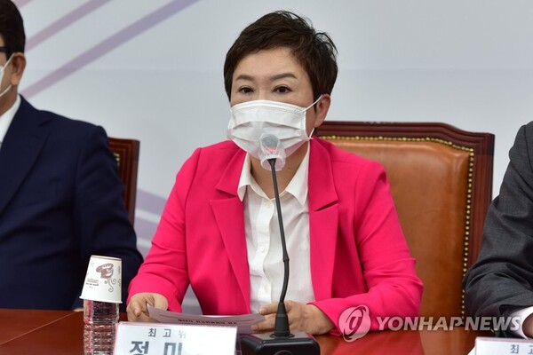 국민의힘 정미경 전 최고위원 /연합뉴스