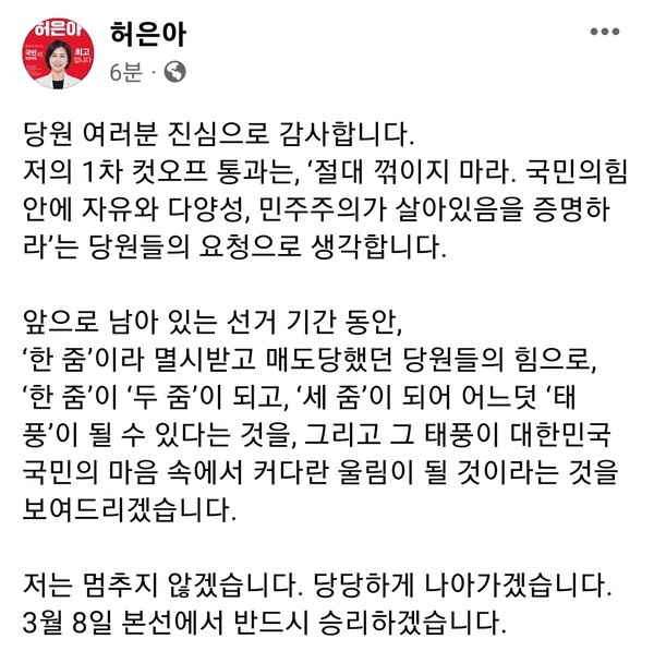 허은아 최고위원 페이스북 캡쳐