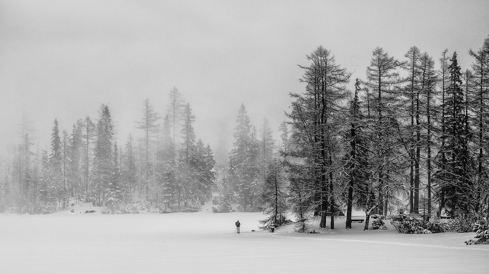 백설에 덮여 아무것도 보이지 않는 끝없는 광야에서 어디로 첫발을 뗄 것인가? /픽사베이