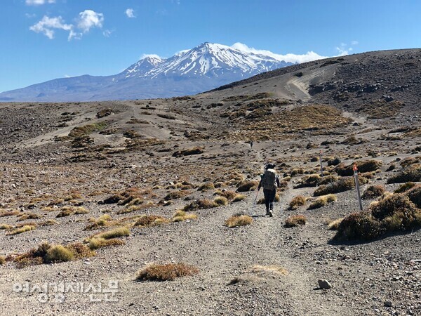 뉴질랜드 북섬 그레이트 웍스 9개 코스 중 통가리로 노던 서킷 트레킹 /사진=박재희