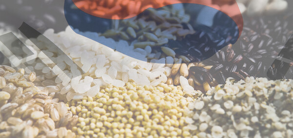 우리의 주권을 지키는 독립은 멀리 있는 것이 아니라 먹거리에도 있다. 우리 농산물에 대해 관심을 높여 식량 자급율을 높이고 K-푸드의 위상을 높인다면 농업 분야에서 진정한 대한독립은 올 것이다. /게티이미지뱅크